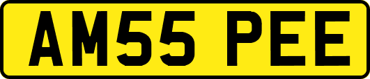 AM55PEE