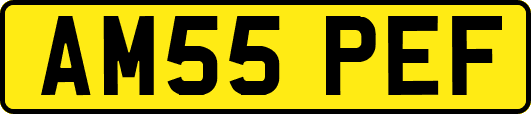 AM55PEF