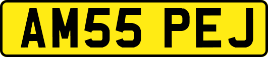 AM55PEJ