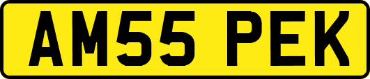 AM55PEK