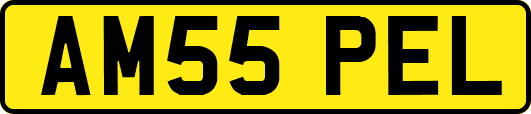AM55PEL