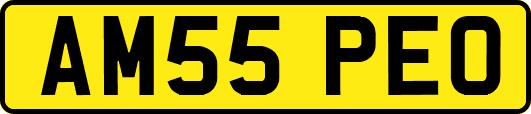 AM55PEO