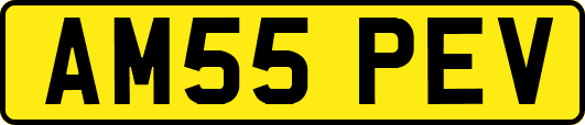AM55PEV