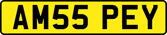 AM55PEY