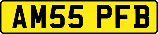 AM55PFB
