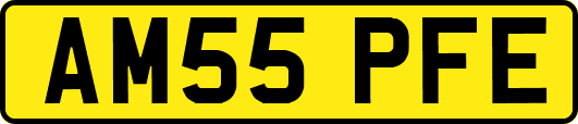 AM55PFE
