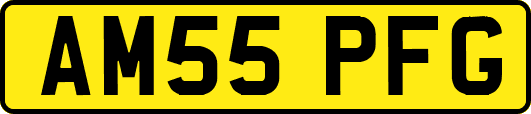 AM55PFG