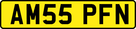 AM55PFN
