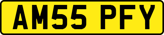 AM55PFY