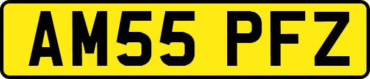 AM55PFZ