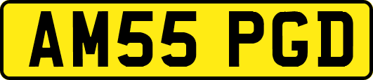 AM55PGD