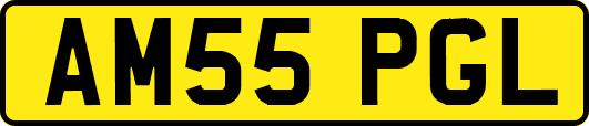 AM55PGL