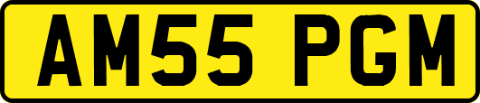 AM55PGM
