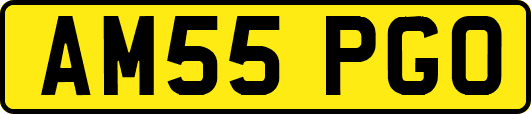 AM55PGO