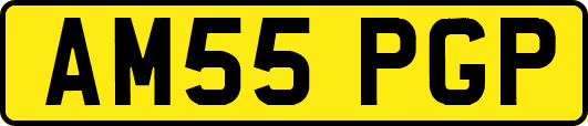 AM55PGP