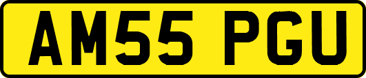 AM55PGU