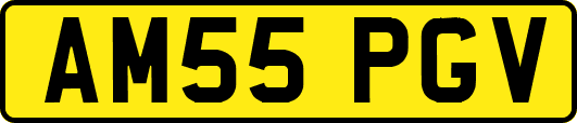 AM55PGV