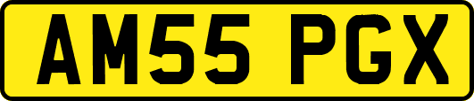 AM55PGX