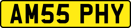 AM55PHY