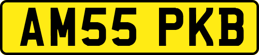 AM55PKB