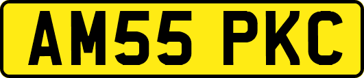 AM55PKC