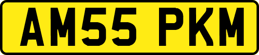 AM55PKM