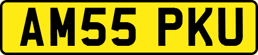 AM55PKU