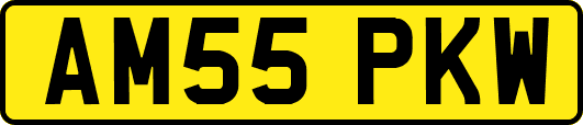 AM55PKW