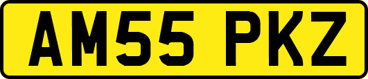 AM55PKZ