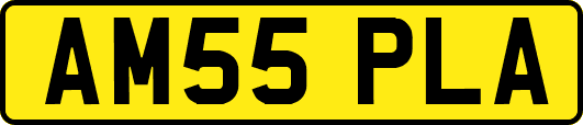 AM55PLA