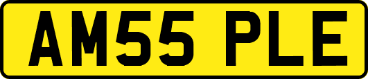 AM55PLE