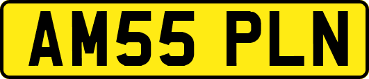AM55PLN