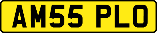 AM55PLO