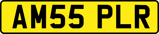 AM55PLR