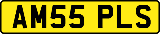 AM55PLS