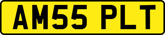 AM55PLT