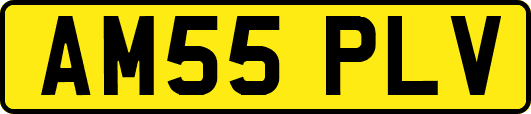 AM55PLV