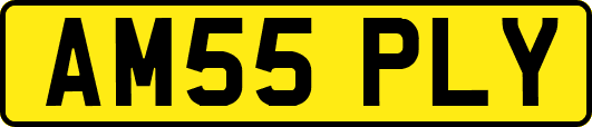 AM55PLY