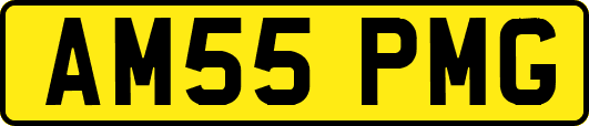 AM55PMG