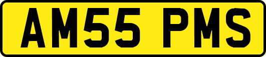 AM55PMS