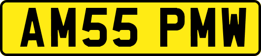 AM55PMW