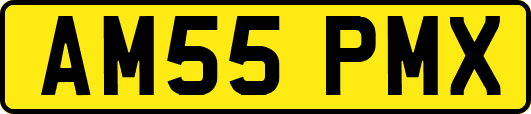 AM55PMX