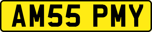 AM55PMY