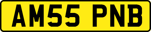 AM55PNB