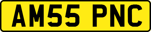 AM55PNC