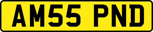 AM55PND