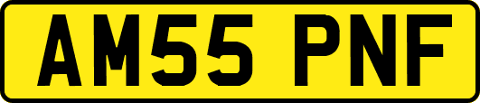 AM55PNF