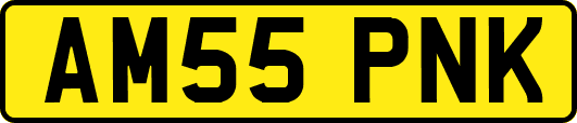 AM55PNK