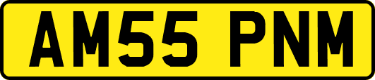 AM55PNM