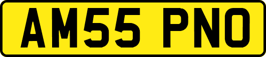 AM55PNO
